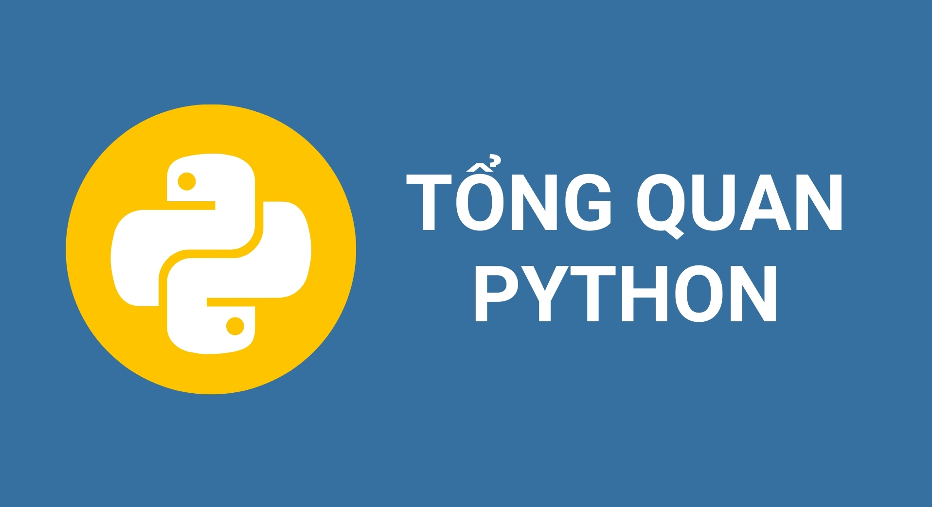 Tổng quan Python. Lập trình python là gì? - Blog | Got It AI