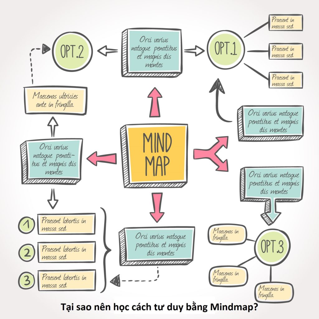 Tại sao nên học cách tư duy bằng Mindmap