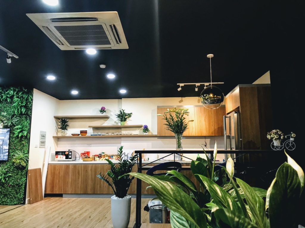 Office của Got It không bao giờ thiếu cây xanh